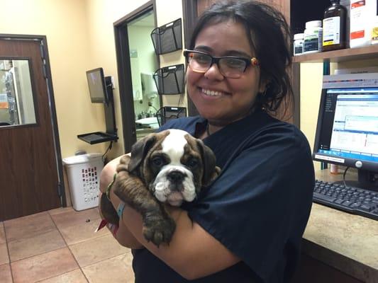 Everyone needs a healthy dose of puppy therapy!