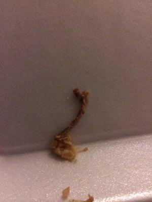 The bone I found in my chicken burrito! Ew, puked everywhere!!!!!