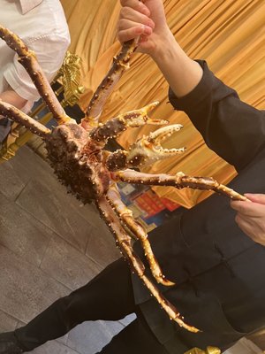 7.25lb king crab