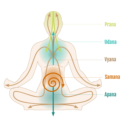 Prana and it's pathways or movement in the body...