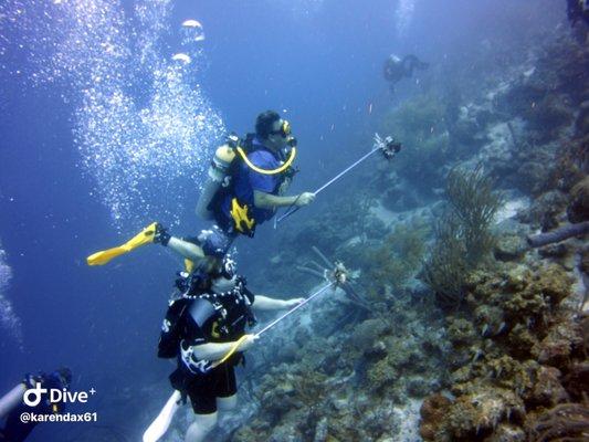 Lion Fish!!