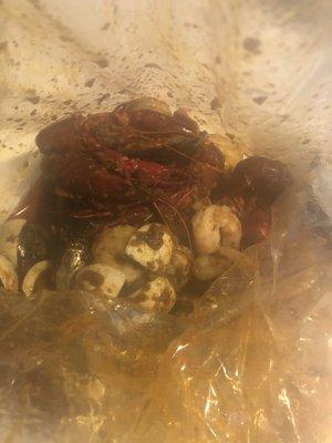 1/16/21 Steamed picture from food ( beginners seafood bag)