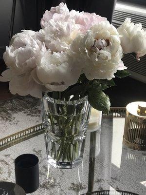 Peonies from Cork.