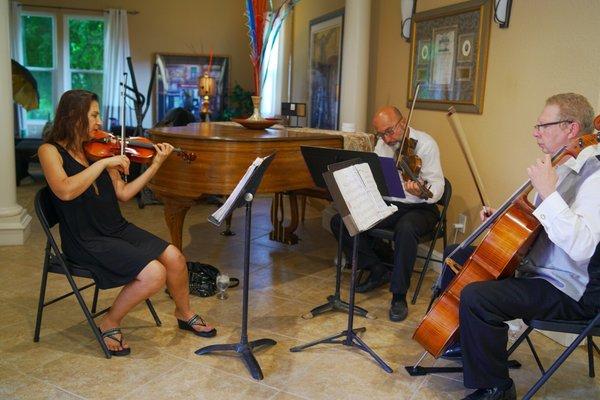 Bravo String Quartet