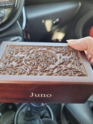 Cremation ashes of Juno.