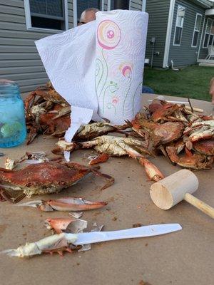 Steamed crabs.  First of the season and our first from Tom and Terry's. Will definitely be back!!!