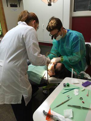 Dr Greg Gillespie performing root canal procedure at Gillespie Dentistry