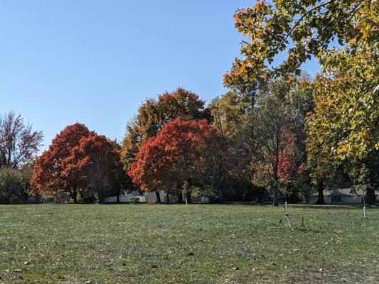 Lots of greenspace at Jake Greene Park