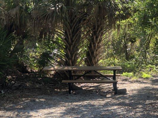 Cocohatchee Creek Preserve