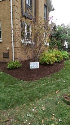 Created and installed new landscape bed with plants.