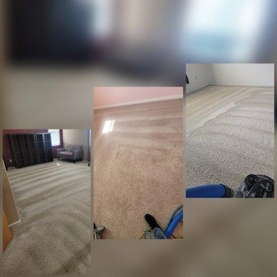 Steam cleaning carpet using Rotovac 360i