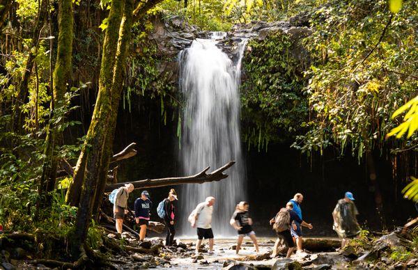 Hike Maui