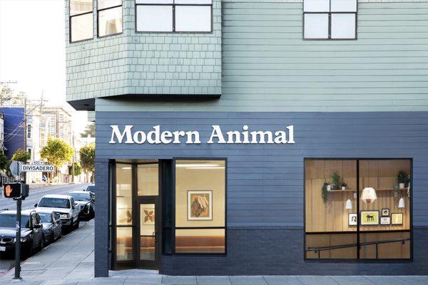 Modern Animal