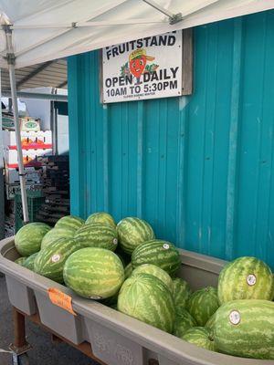 Watermelon 60 cents/pound!