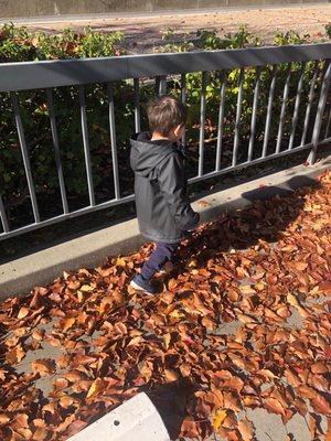 Enjoying the Fall leaves after a session at Child's Play