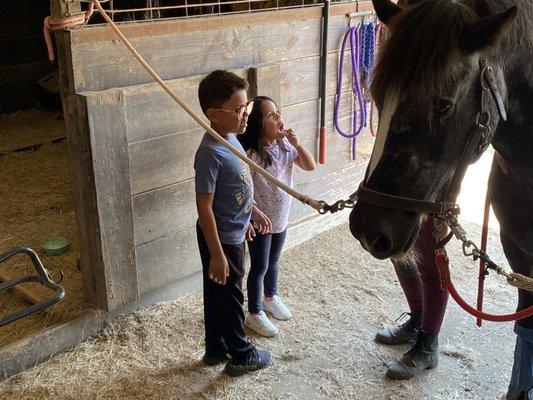 Galaxy Riding School