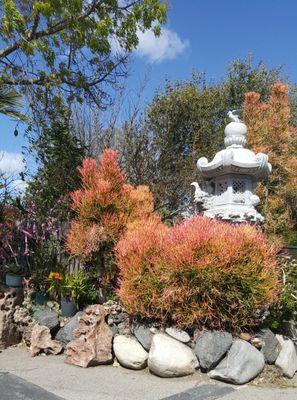 Pretty plants & statuary!