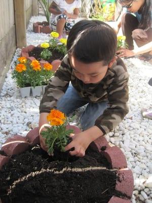 Gardening