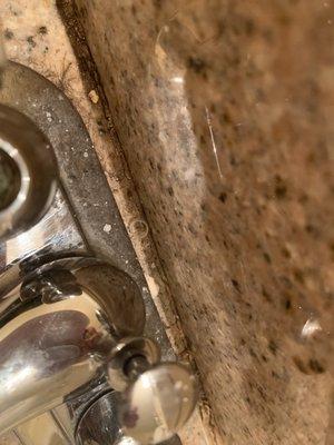 Bits of hair and dust behind the faucet