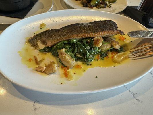 Trout entree (pretty good!)