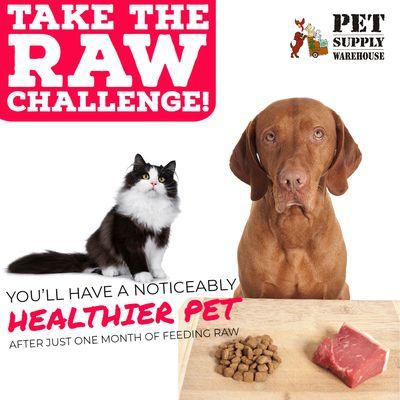 Pet Supply Warehouse - Raw Challenge!