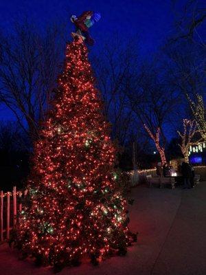 Christmas at the Zoo lights