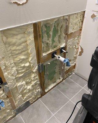 My moldy master bathroom