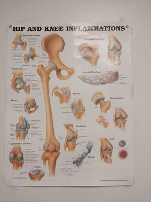 Hess Rehabilitation