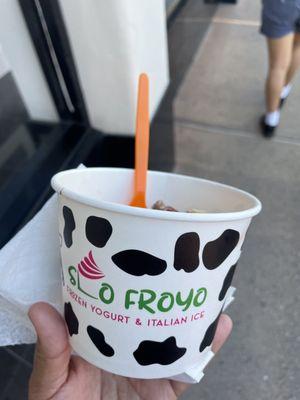 frozen yogurt