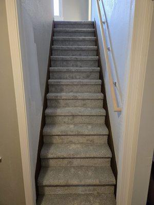 Stairs w/ new carpet