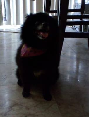 After her haircut, with cute bandana