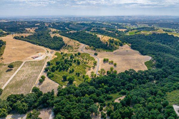 Amazing views in Paso Robles