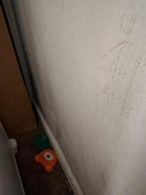 Everywhere is mold. In bathroom bedroom living room