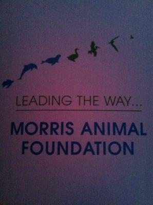 Morris animal foundation 2nd annual nyc gala