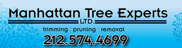 Manhattan Tree Experts