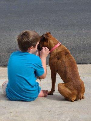 One of my grandkids with my Boxer Mocha