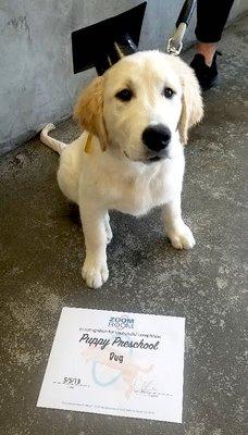 Dug graduates Puppy Preschool.