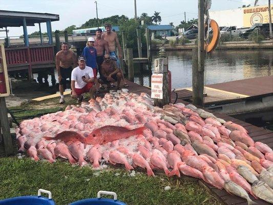 American Red Snapper Season June and July