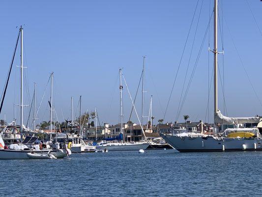 Boats in the Newport harbor.