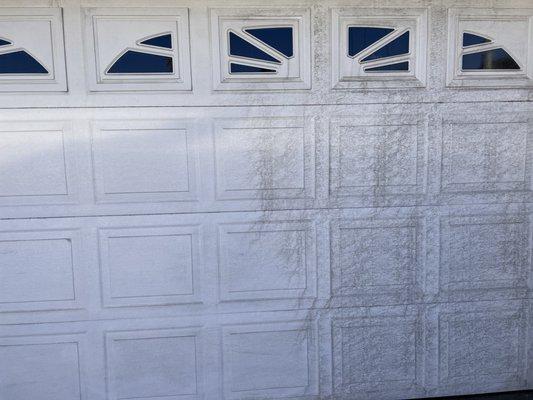 In the process of cleaning garage doors.