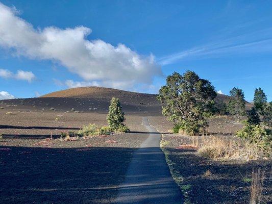 Real desolate setting here on Devastation Trail.