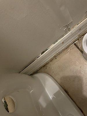 Leaking toilet