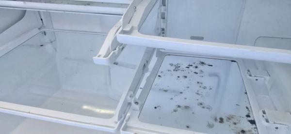 Mold in the refrigerator.