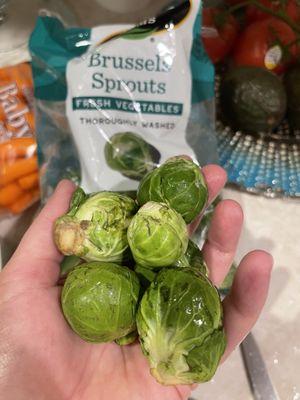 Bacteria infested Brussel sprouts