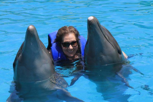 Swimming With The Dolphins