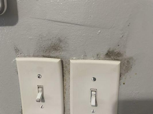 Mold growing from behind light switches