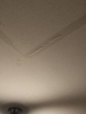 Leaking ceiling