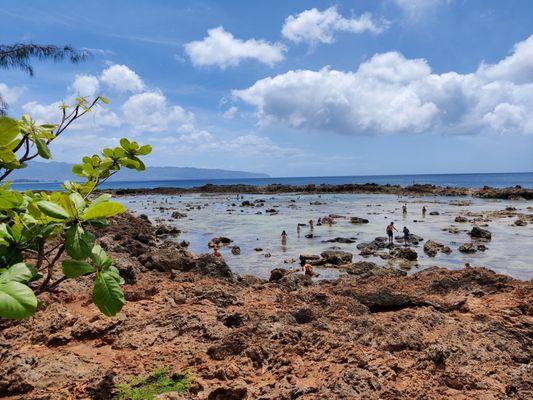 Pupukea Beach Park