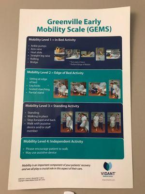 Greenville Early Mobility Scale