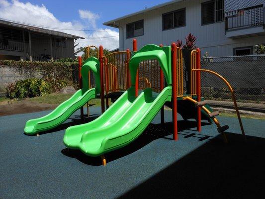 Play structure in the back playground